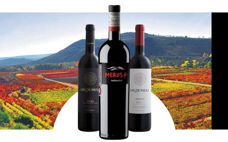 Bodegas Lar de Paula