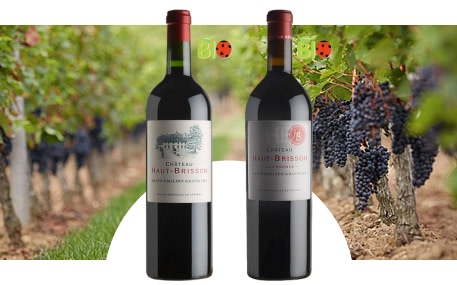 Castillo Haut-Brisson