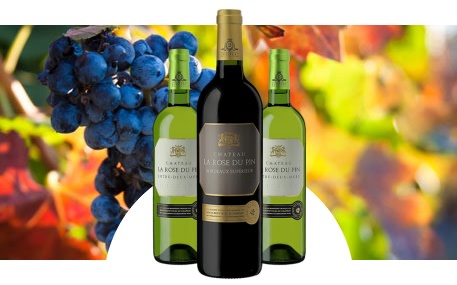 Château La Rose du Pin