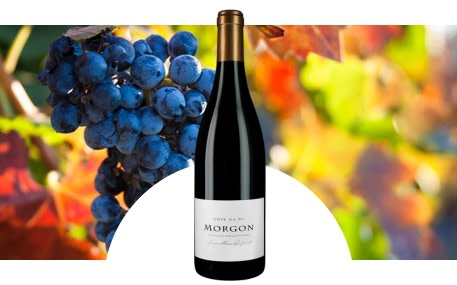 Jean-Marc Lafont - Domaine de Bel-Air