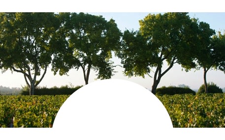 Château Gressier Grand Poujeaux