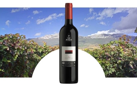 Bodegas y Viñedos Pujanza