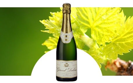 Champagne Gérard Dubois