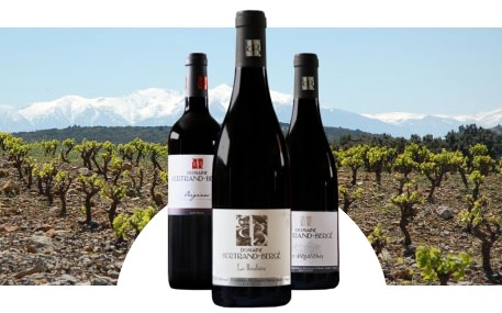 Domaine Bertrand-Bergé