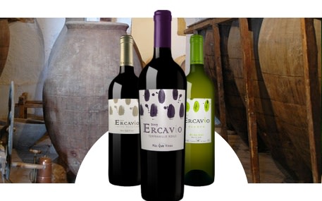 Bodega Ercavio