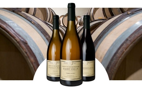 Domaine Cordier Père et Fils