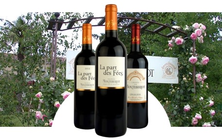 Château de Monteberiot