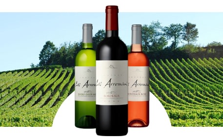 Château les Arromans