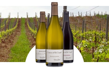 Domaine du Pré Semelé