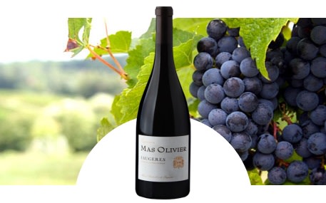Les Crus Faugères - Mas Olivier