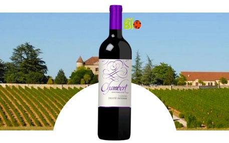 Château de Chambert