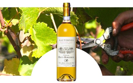 Château Haut-Bergeron