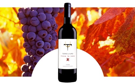 Hacienda Terra d'Uro