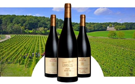 Domaine Pierre Sourdais