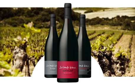 Vignoble du Loup Blanc