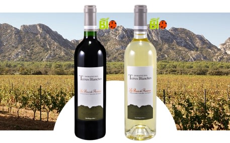 Domaine des Terres Blanches