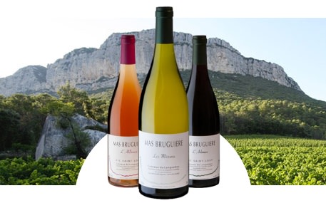 Mas Bruguière