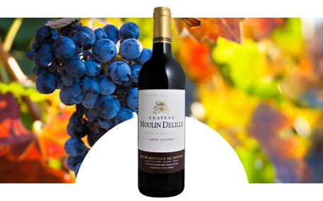 Château Moulin Delille