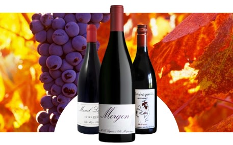 Domaine Marcel Lapierre