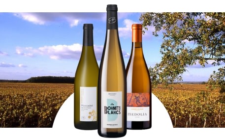 Domaine Bonnet-Huteau