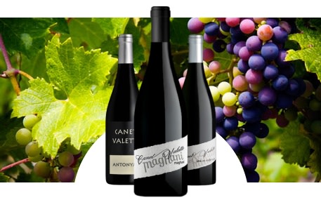 Domaine Canet Valette