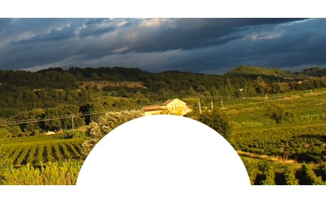 Domaine de la Tête Noire