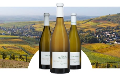 Domaine Vincent Pinard