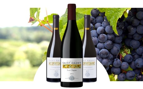 Domaine Saint Amant