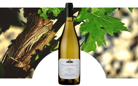 Château de la Guimonière