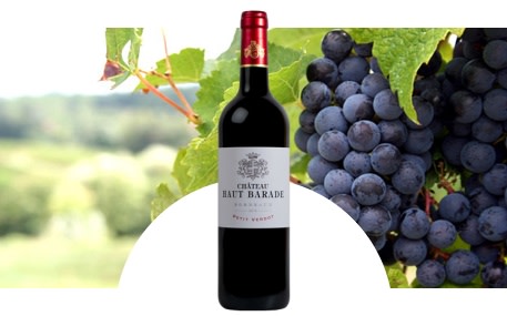 Château Haut Barade