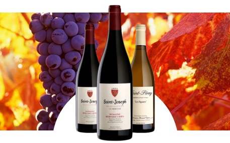 Domaine Bernard Gripa