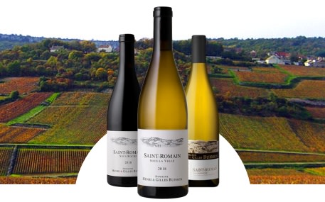 Domaine Henri et Gilles Buisson