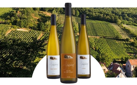 Domaine Schieferkopf