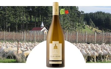 Viñedo Clos Henri
