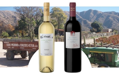 San Pedro de Yacochuya