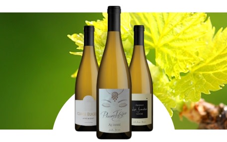 Domaine de l'Epervière