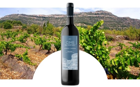 Celler Baronia del Montsant