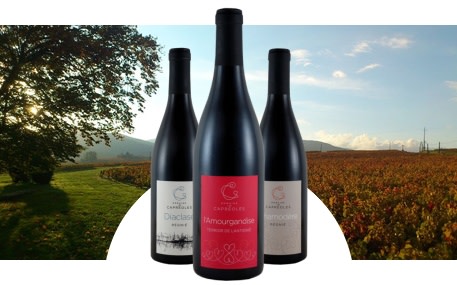 Domaine Les Capréoles