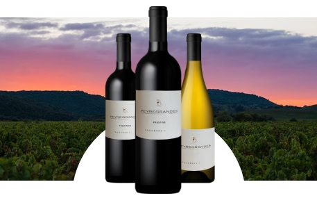 Château des Peyregrandes