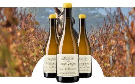 Domaine de la Soufrandière