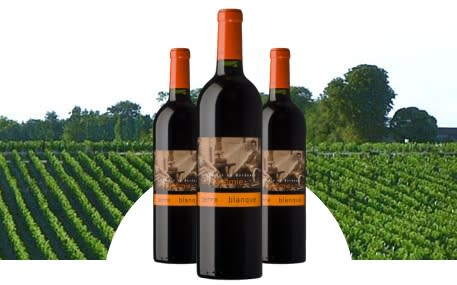 Château Terre Blanque