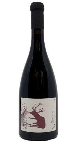 Clos Roussely - Touraine  Chenonceaux rouge 2022