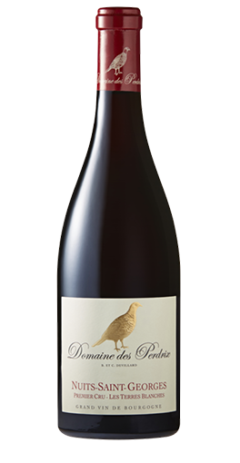 Domaine des Perdrix - Nuits-Saint-Georges 1er Cru Les Terres Blanches 2021