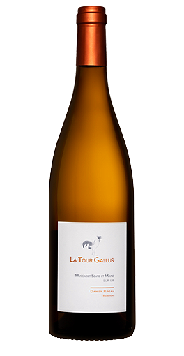 La Tour Gallus - Muscadet Sèvre-Maine Sur Lie 2023