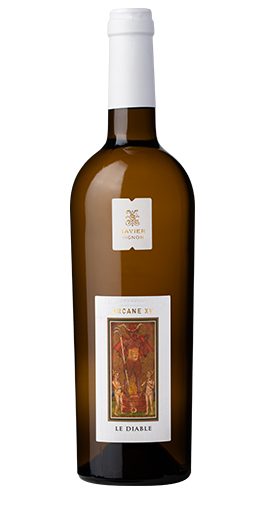 Xavier Vignon - Arcane Le Diable blanc 2024