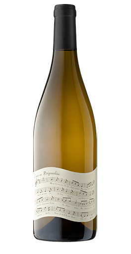 Albert de Conti - Bergerac Conti-ne Périgourdine 2022