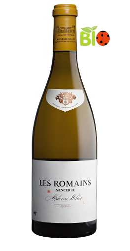 Alphonse Mellot - Les Romains 2011