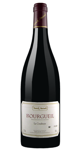 Domaine Yannick Amirault - La Coudraye 2009