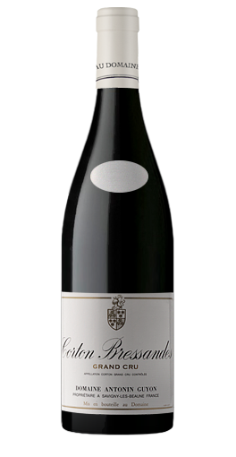 Domaine Antonin Guyon - Corton Bressandes Grand Cru 2006