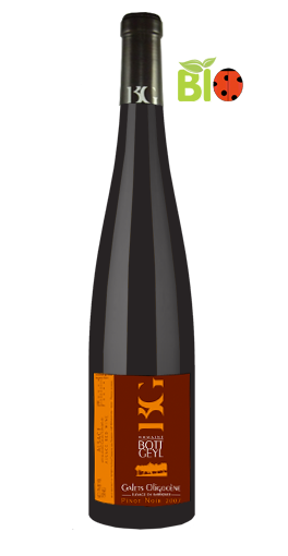 Domaine Bott Geyl - Pinot Noir Cuvée Galet Oligocène 2007